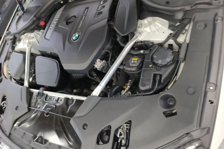 Used BMW 5 Series 2019 Facelifted 530Li Leading Edition M Sport Package Engine Bay