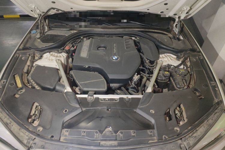 Used BMW 5 Series 2019 Facelifted 530Li Leading Edition Luxury Package Engine Bay