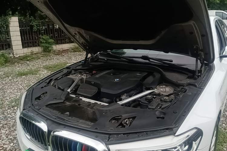 Used BMW 5 Series 2019 Facelifted 530Li Luxury Edition Premium Package Engine Bay