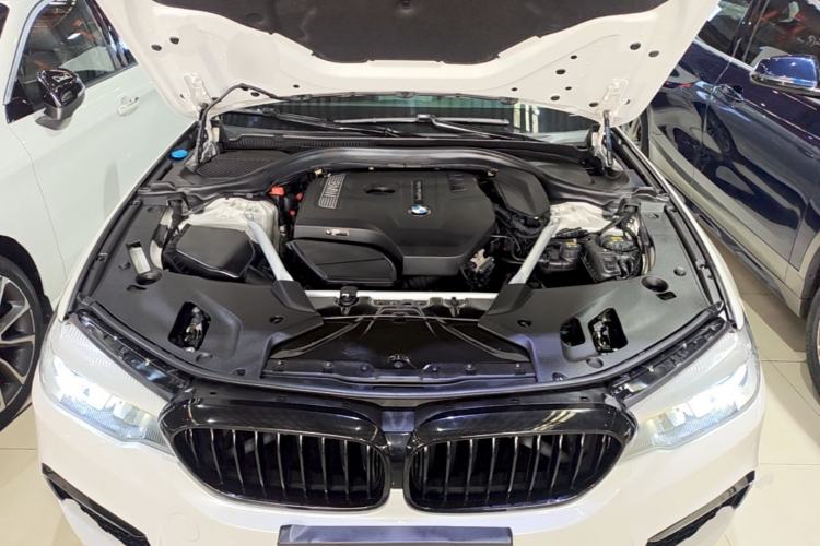 Used BMW 5 Series 2019 530Li Leading Model M Sport Package Engine Bay