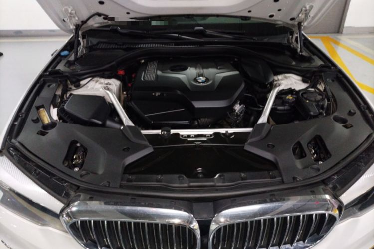 Used BMW 5 Series 2019 530Li Leading Model Luxury Package Engine Bay