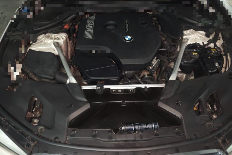 Used BMW 5 Series 2019 530Li Leading Model Luxury Package Engine Bay