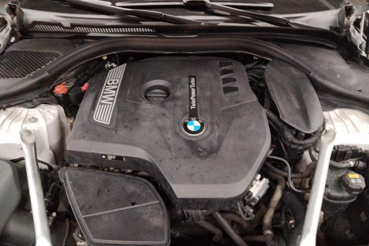 Used BMW 5 Series 2019 530Li xDrive Luxury Package Engine Bay