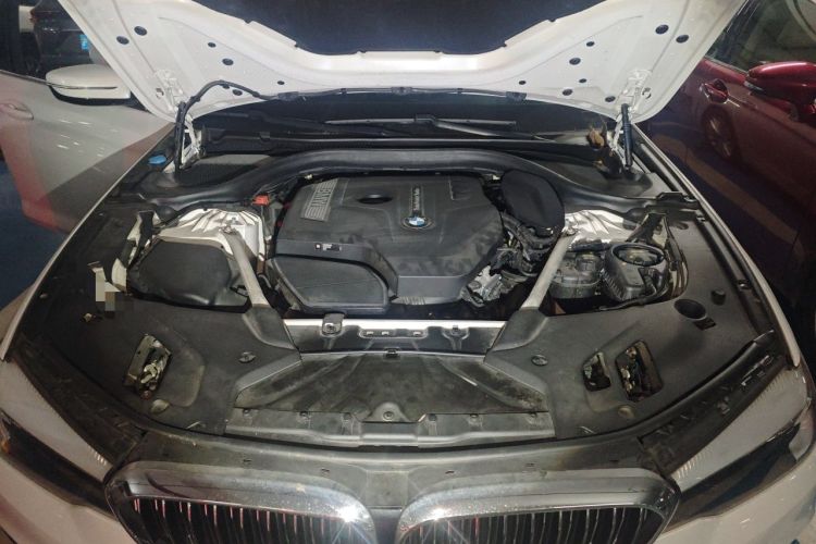 Used BMW 5 Series 2019 530Li Leading Model Luxury Package Engine Bay