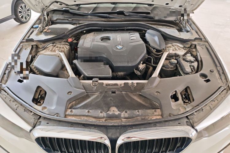 Used BMW 5 Series 2019 530Li Leading Model M Sport Package Engine Bay