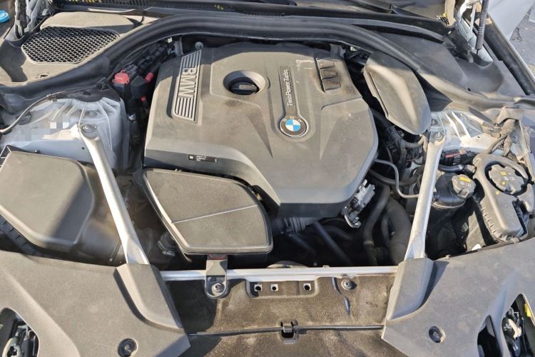Used BMW 5 Series 2019 Facelifted 530Li Leading Edition M Sport Package Engine Bay