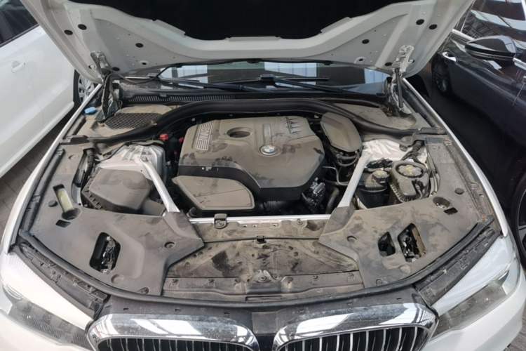 Used BMW 5 Series 2019 525Li Luxury Package Engine Bay