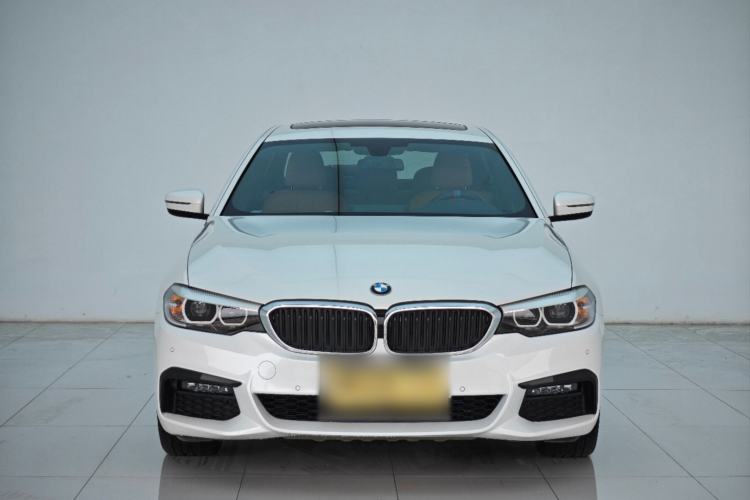 Used BMW 5 Series 2019 530Li Leading Model M Sport Package Exterior 1
