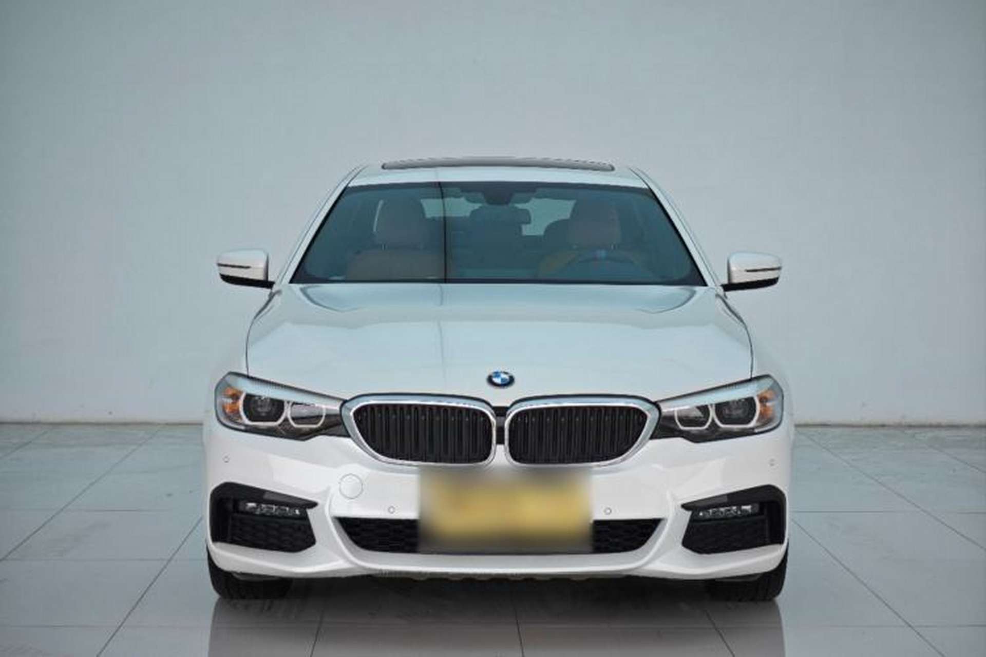 Used BMW 5 Series 2019 530Li Leading Model M Sport Package Exterior 1