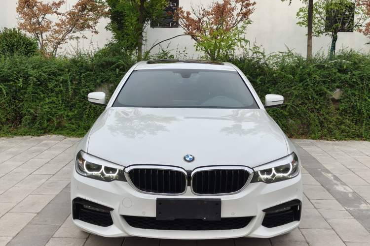 Used BMW 5 Series 2019 530Li Leading Model M Sport Package Exterior 1