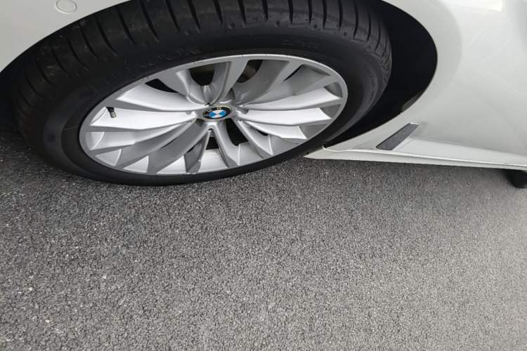 Used BMW 5 Series 2019 530Li Leading Model Luxury Package Exterior 1