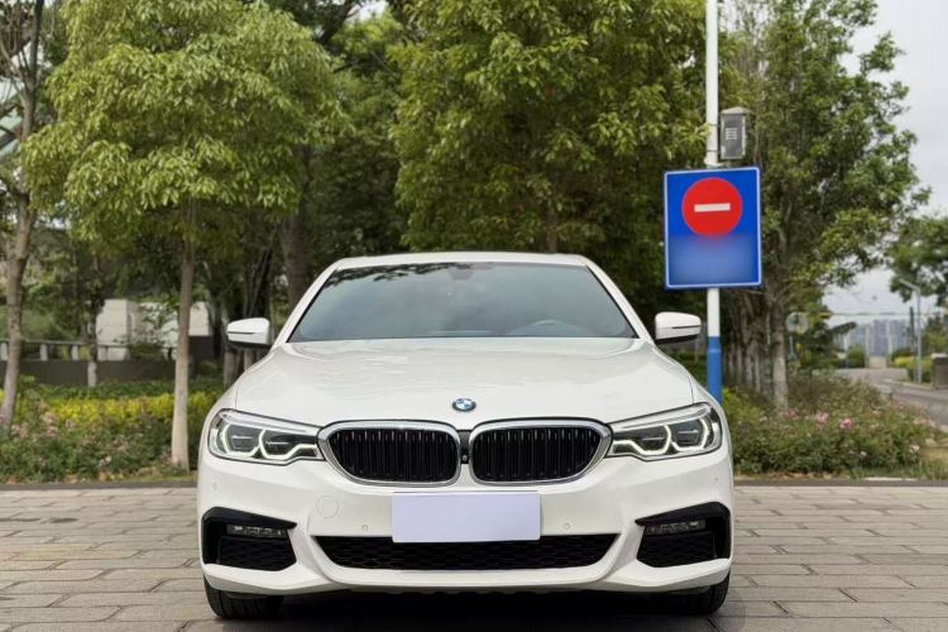 Used BMW 5 Series 2019 530Li Luxury Edition M Sport Package Exterior 1