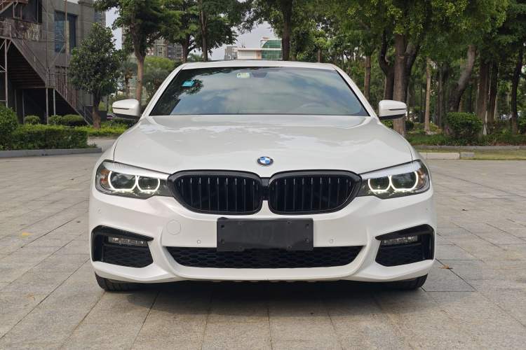 Used BMW 5 Series 2019 530Li Leading Model M Sport Package Exterior 1