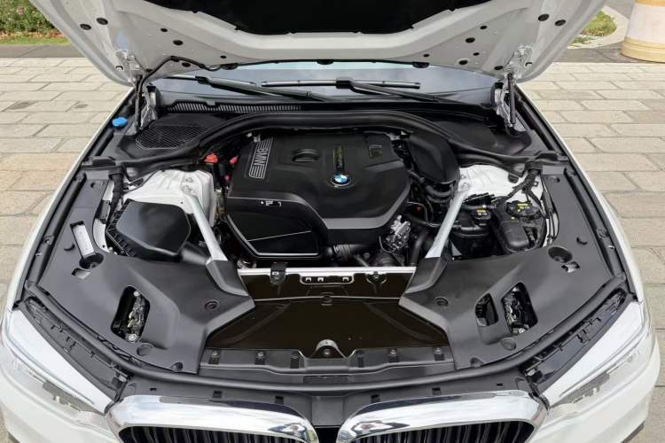 Used BMW 5 Series 2019 530Li Luxury Edition M Sport Package Exterior 10