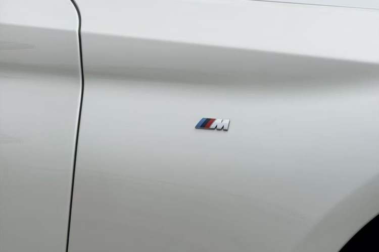 Used BMW 5 Series 2019 530Li Luxury Edition M Sport Package Exterior 11