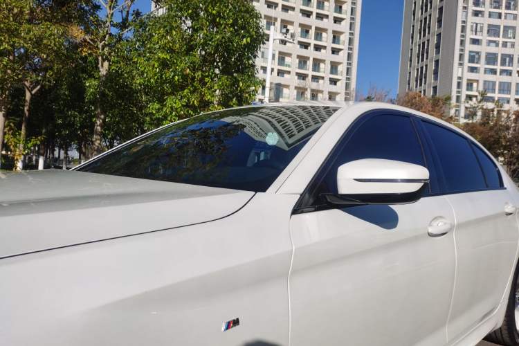 Used BMW 5 Series 2019 525Li M Sport Package Exterior 11