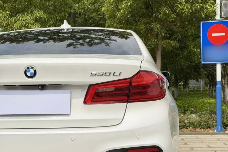 Used BMW 5 Series 2019 530Li Luxury Edition M Sport Package Exterior 14