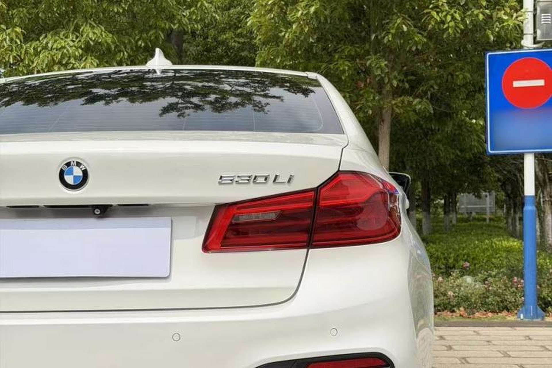 Used BMW 5 Series 2019 530Li Luxury Edition M Sport Package Exterior 14