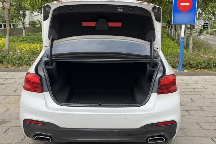 Used BMW 5 Series 2019 530Li Luxury Edition M Sport Package Exterior 15