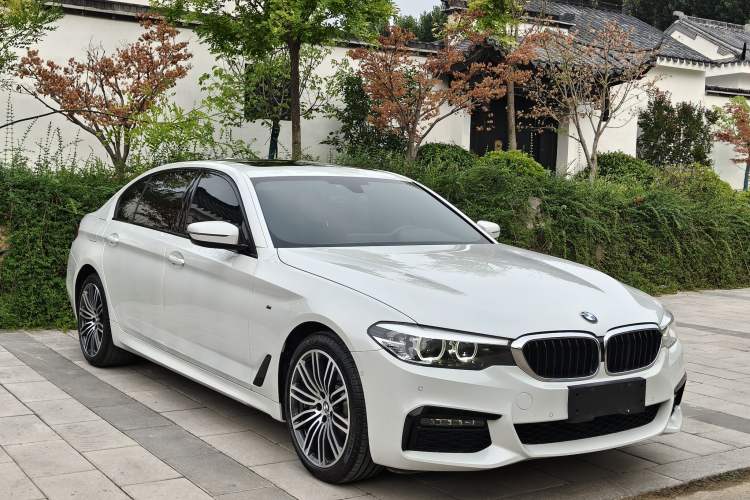 Used BMW 5 Series 2019 530Li Leading Model M Sport Package Exterior 2