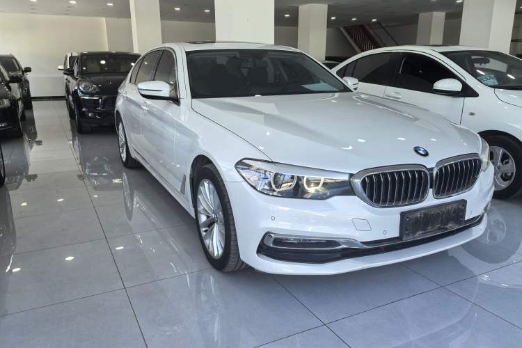 Used BMW 5 Series 2019 525Li Luxury Package Exterior 2