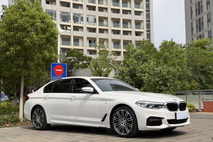 Used BMW 5 Series 2019 530Li Luxury Edition M Sport Package Exterior 2