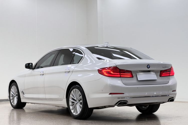 Used BMW 5 Series 2019 Facelifted 530Li Luxury Edition Premium Package Exterior 3