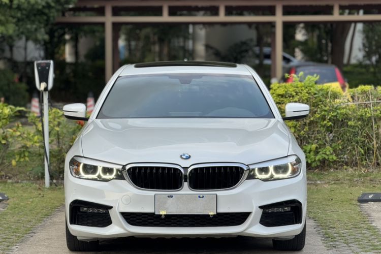 Used BMW 5 Series 2019 530Li Leading Model M Sport Package Exterior 3