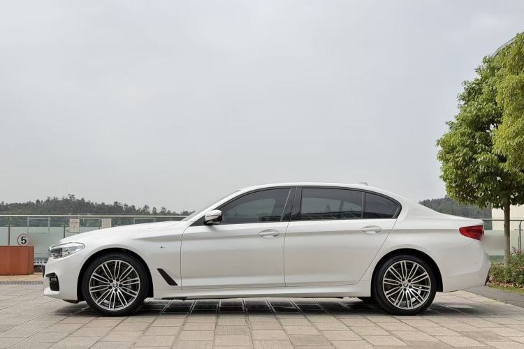 Used BMW 5 Series 2019 530Li Luxury Edition M Sport Package Exterior 3