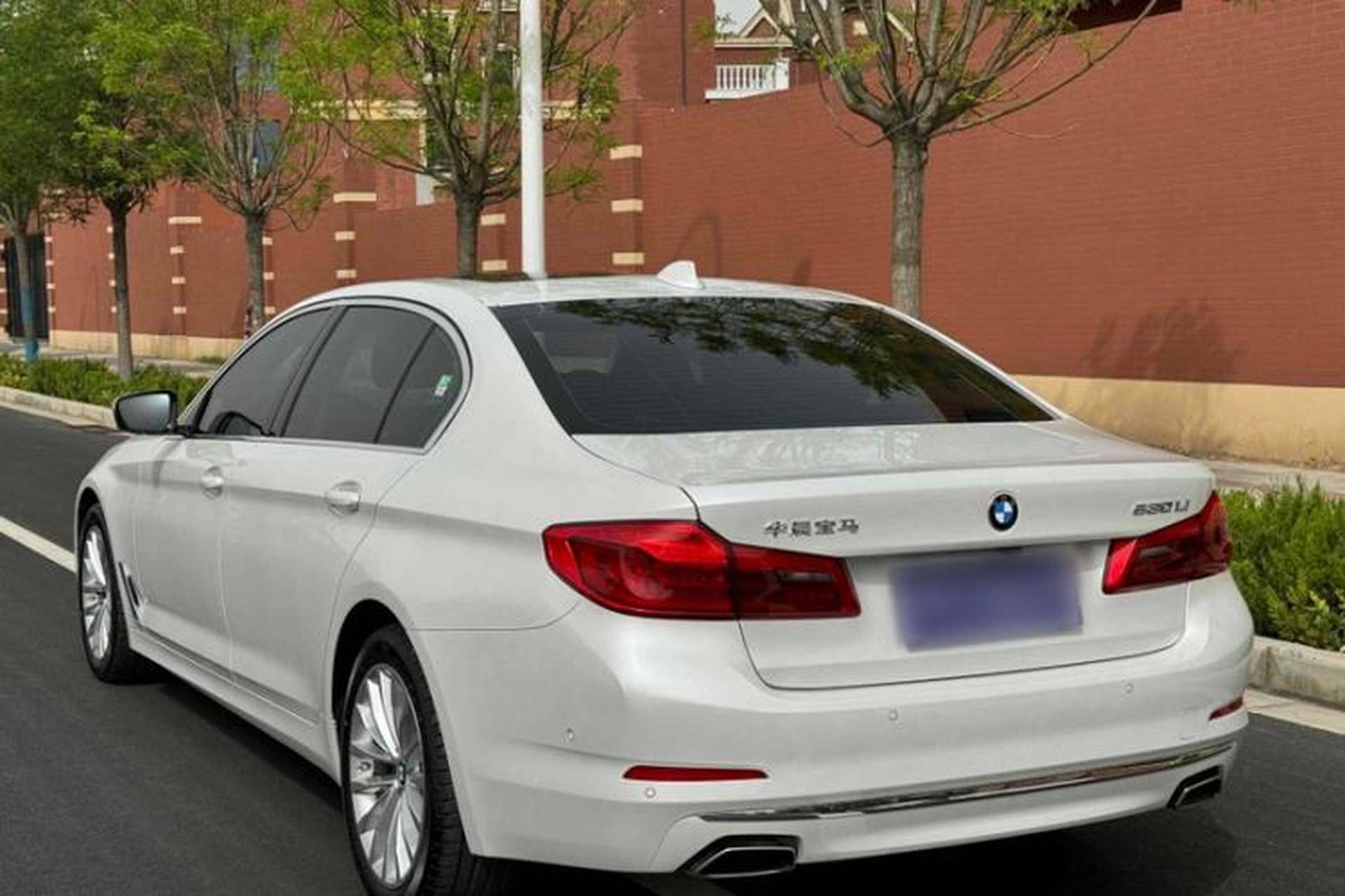 Used BMW 5 Series 2019 Facelifted 530Li Leading Edition Luxury Package Exterior 3