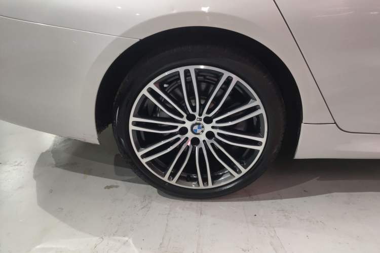 Used BMW 5 Series 2019 530Li Leading Model M Sport Package Exterior 3