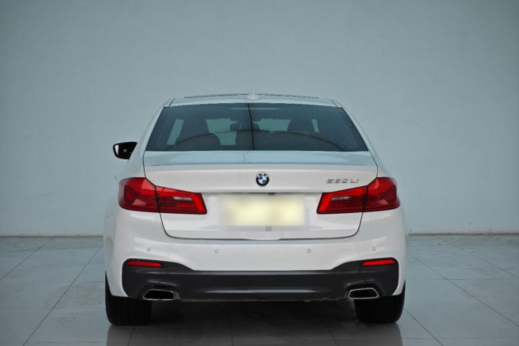Used BMW 5 Series 2019 530Li Leading Model M Sport Package Exterior 4