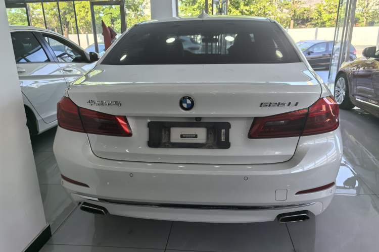 Used BMW 5 Series 2019 525Li Luxury Package Exterior 4