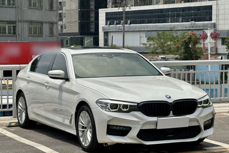 Used BMW 5 Series 2019 530Li Leading Model Luxury Package Exterior 4