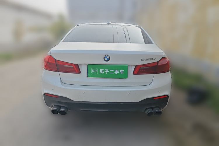 Used BMW 5 Series 2019 530Li Leading Model M Sport Package Exterior 4
