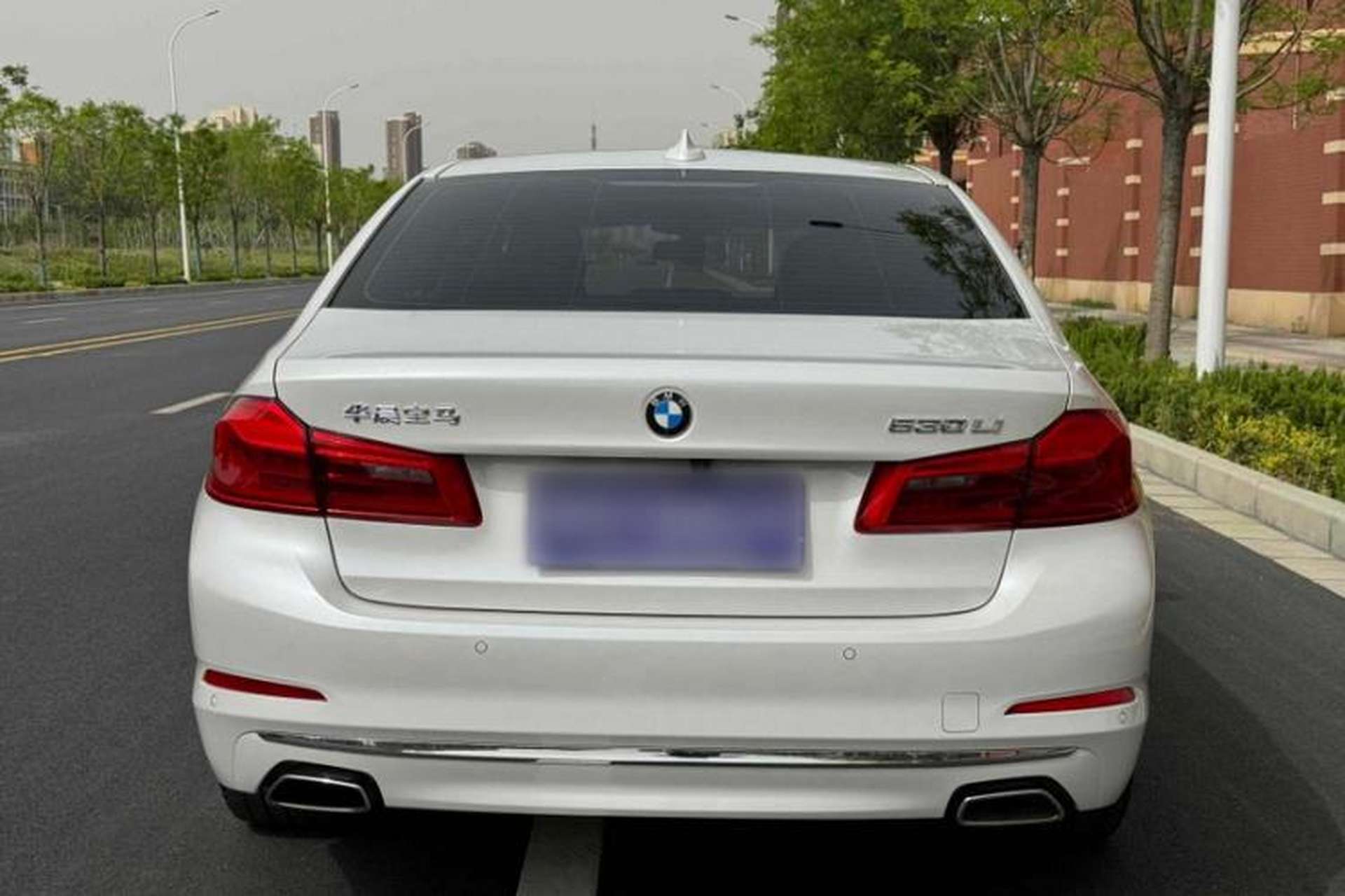 Used BMW 5 Series 2019 Facelifted 530Li Leading Edition Luxury Package Exterior 4
