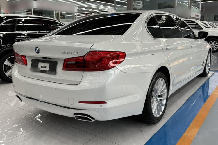 Used BMW 5 Series 2019 Facelifted 530Li Leading Edition Luxury Package Exterior 4