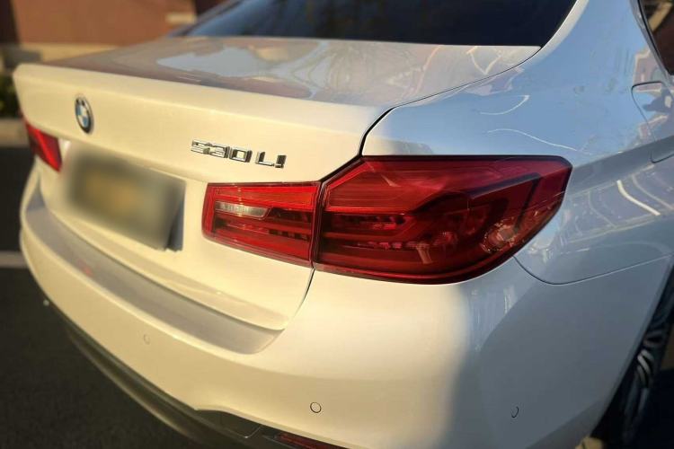 Used BMW 5 Series 2019 530Li Leading Model M Sport Package Exterior 4