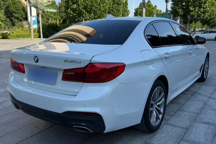 Used BMW 5 Series 2019 525Li M Sport Package Exterior 4