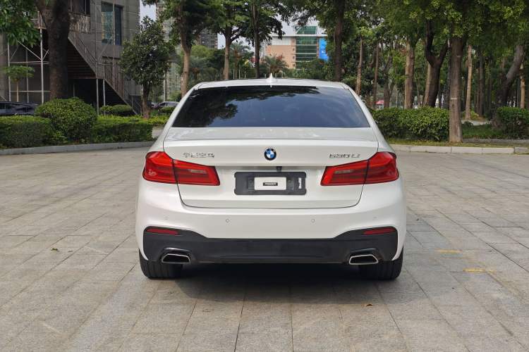 Used BMW 5 Series 2019 530Li Leading Model M Sport Package Exterior 4