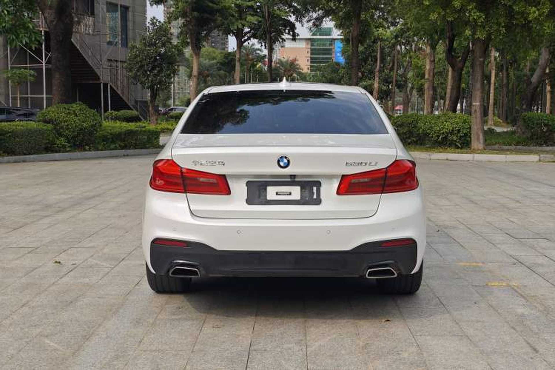 Used BMW 5 Series 2019 530Li Leading Model M Sport Package Exterior 4
