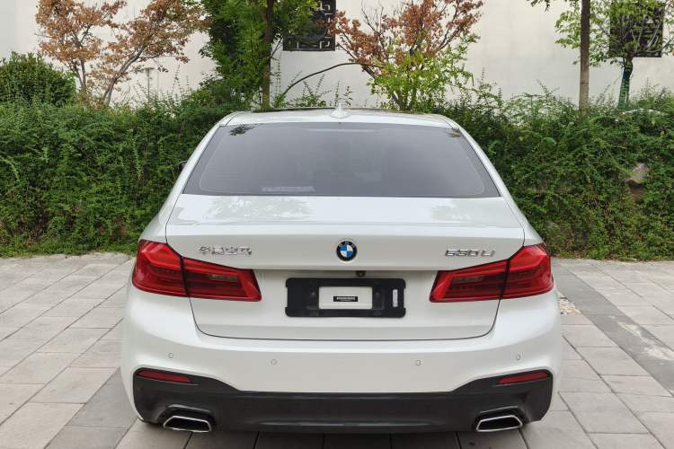 Used BMW 5 Series 2019 530Li Leading Model M Sport Package Exterior 5