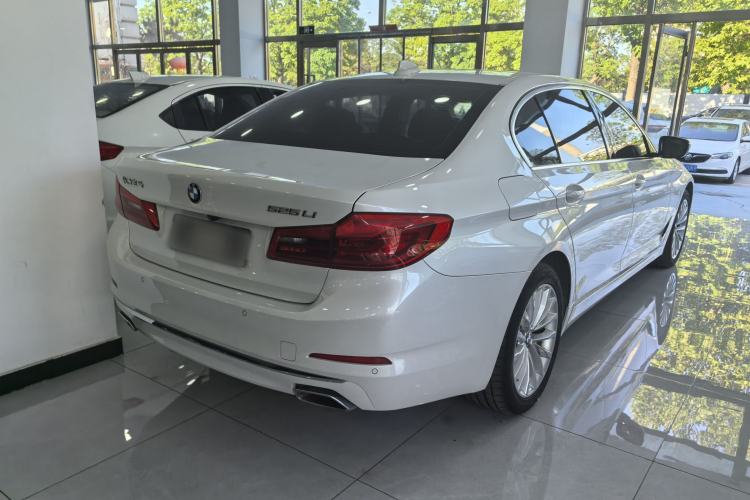 Used BMW 5 Series 2019 525Li Luxury Package Exterior 5