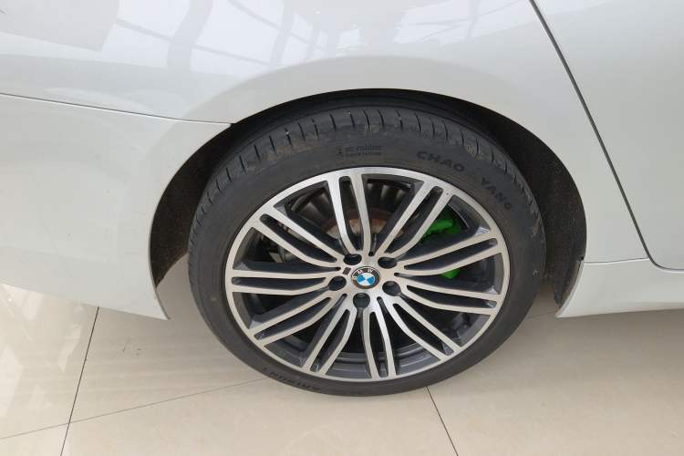 Used BMW 5 Series 2019 530Li Leading Model M Sport Package Exterior 5