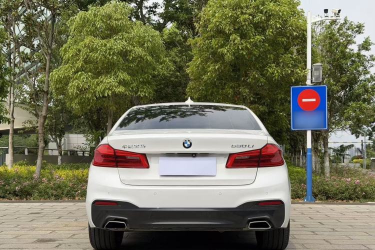 Used BMW 5 Series 2019 530Li Luxury Edition M Sport Package Exterior 5