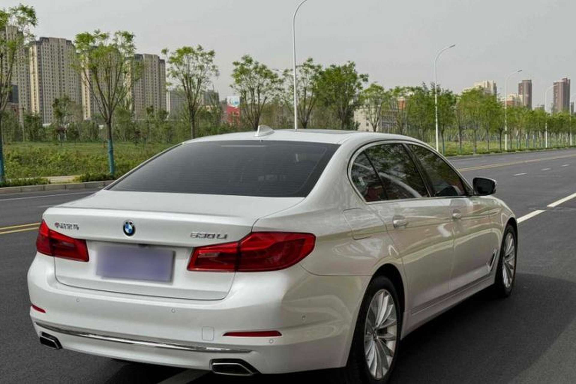 Used BMW 5 Series 2019 Facelifted 530Li Leading Edition Luxury Package Exterior 5