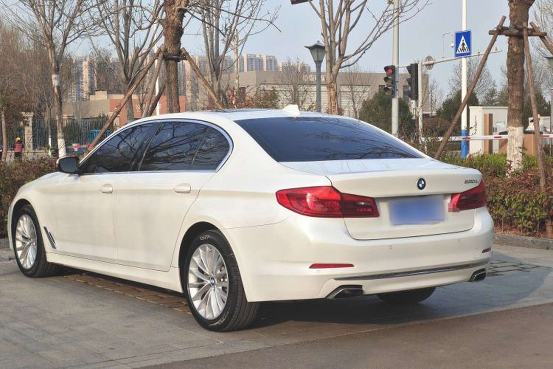 Used BMW 5 Series 2019 530Li Leading Model Luxury Package Exterior 5