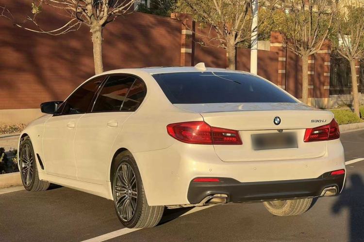 Used BMW 5 Series 2019 530Li Leading Model M Sport Package Exterior 5