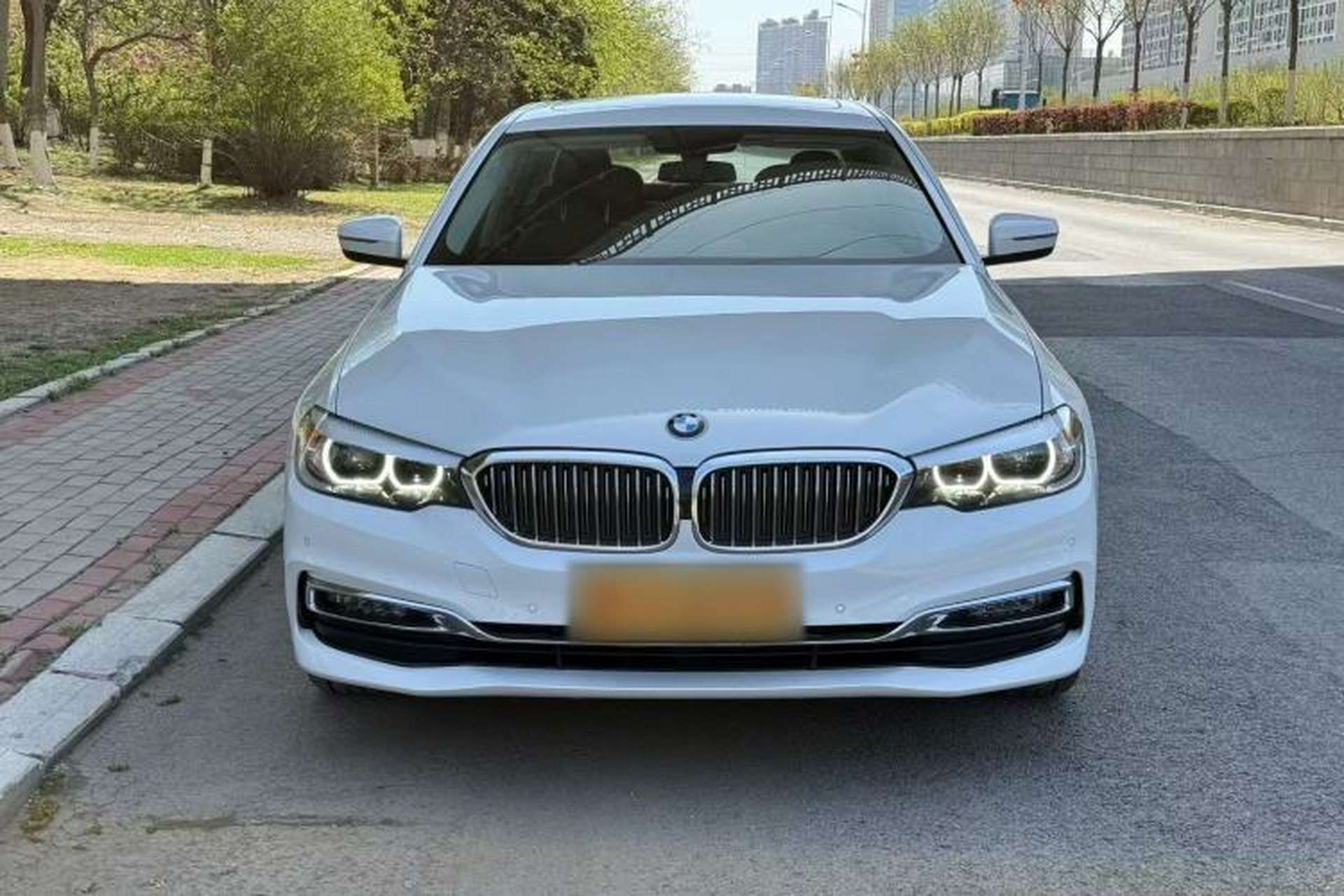 Used BMW 5 Series 2019 530Li xDrive Luxury Package Exterior 6