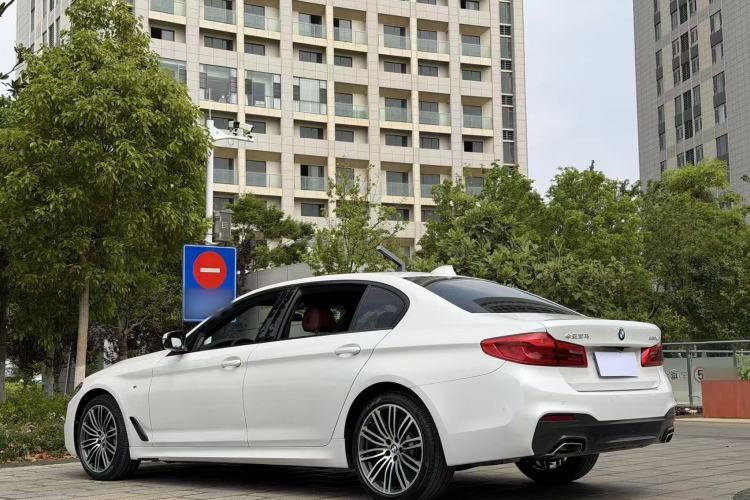 Used BMW 5 Series 2019 530Li Luxury Edition M Sport Package Exterior 6